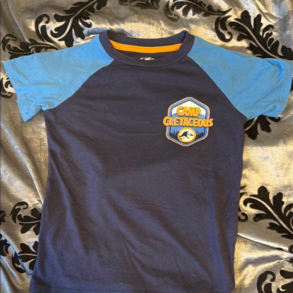 Blue Short Sleeve Tee with Color-Block and Emblem